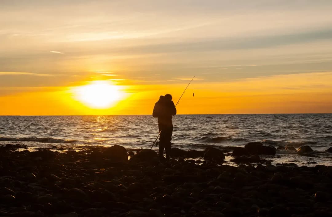 Kiedy łowić śledzie w Bałtyku? Odkryj najlepsze czasy i miejsca