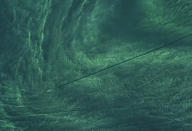 Czy Bałtyk jest czysty? Poznaj stan wody i bezpieczeństwo kąpieli