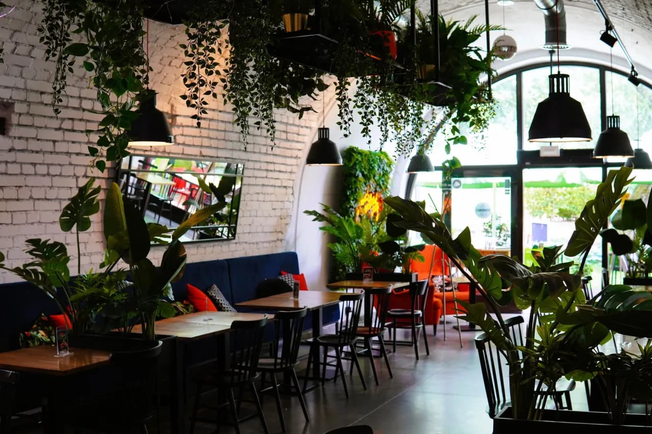 Sandomierz gdzie zjeść – najlepsze miejsca na pyszne jedzenie