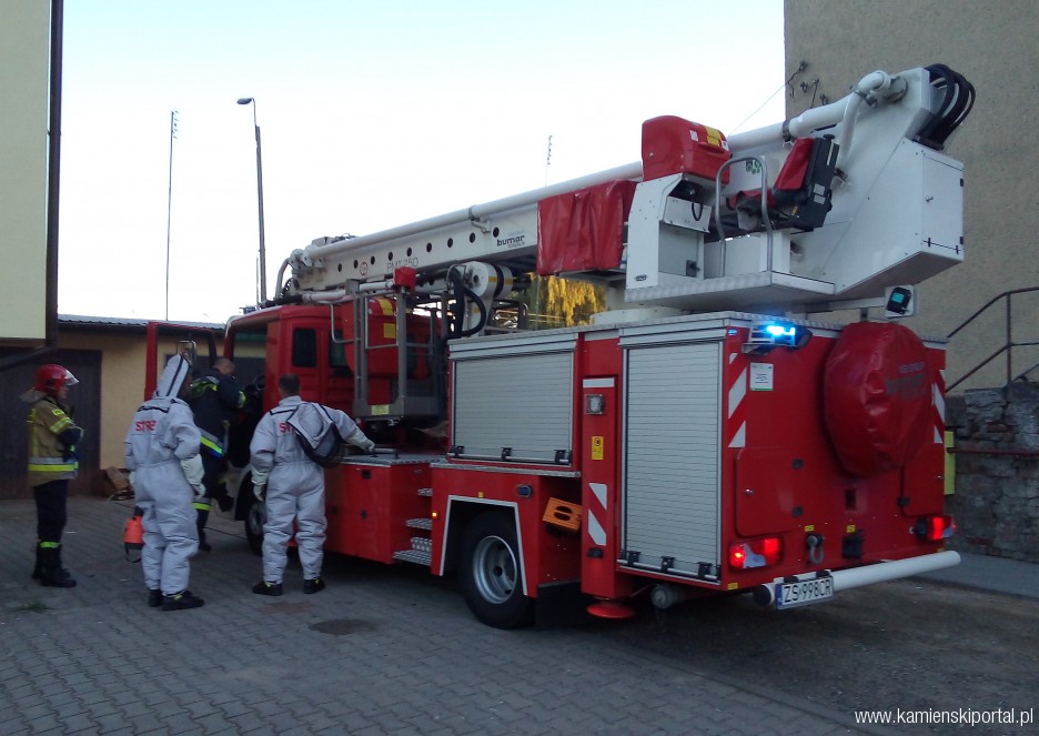 Strażacy usunęli gniazdo szerszeni z budynku przy ulicy Dziwnowskiej