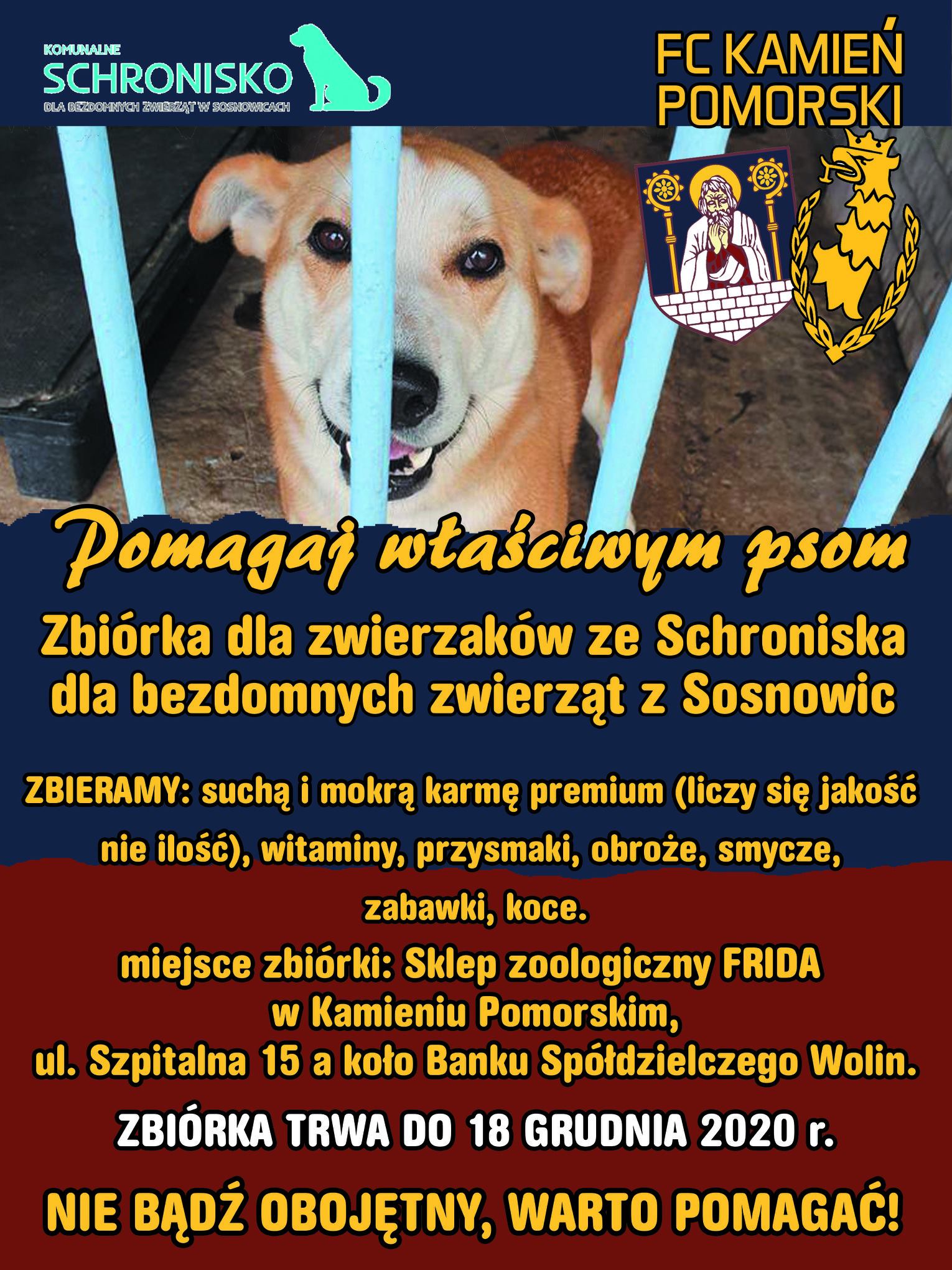 Trwa zbiórka na rzecz Schroniska dla Bezdomnych Zwierząt w Sosnowicach