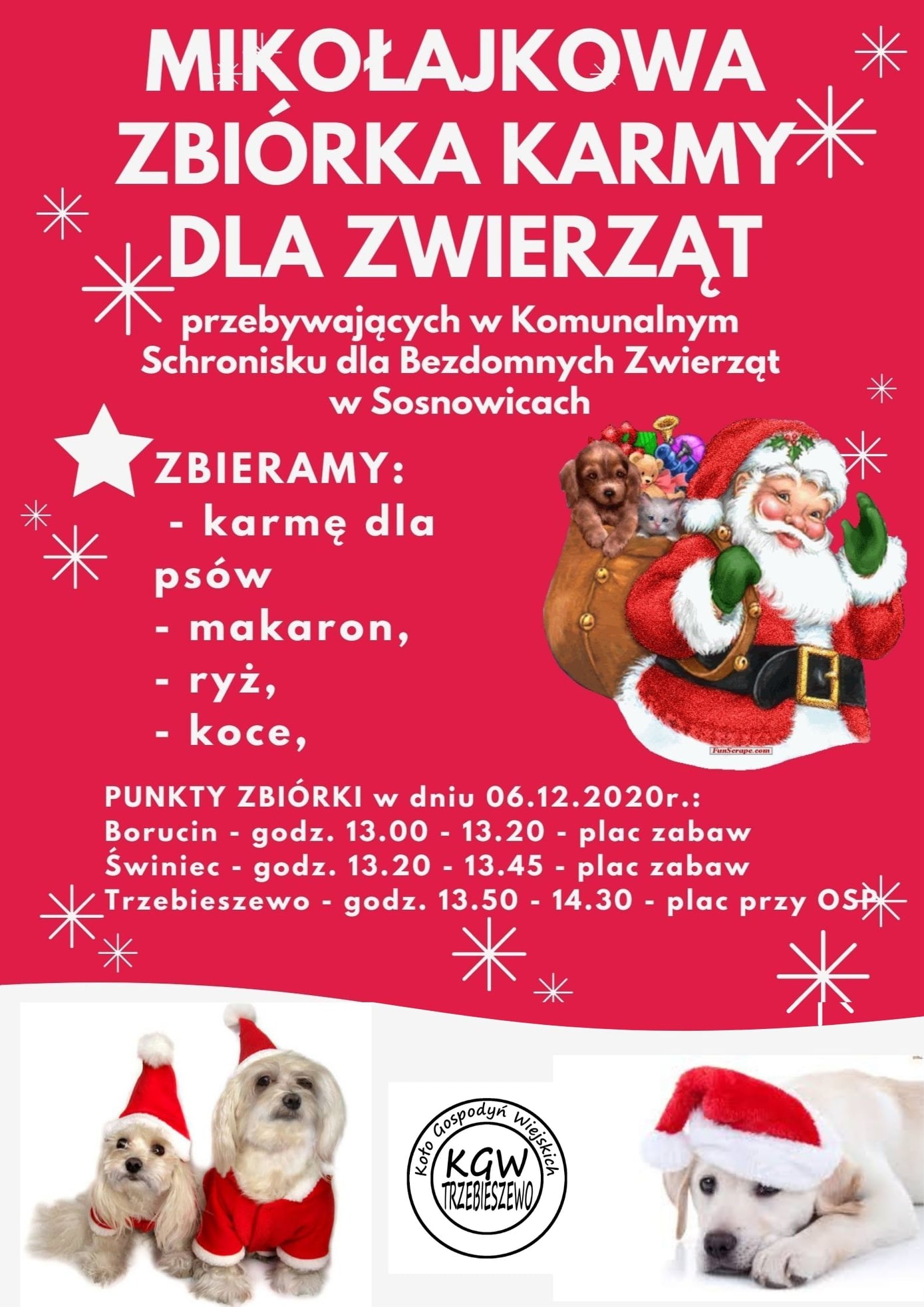 Mikołajkowa zbiórka karmy dla zwierząt ze schroniska w Sosnowicach